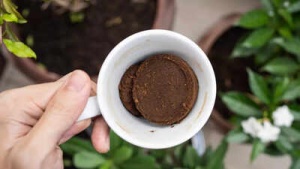 Recycle Coffee Grounds: Your Natural Weapon Against Garden Pests
Or, depending on the target audience (more concise):
Coffee Grounds: The Gardener's Secret Weapon Against Pests
