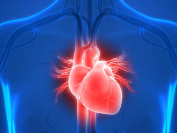 Image illustrating the benefits of hydration for heart health.