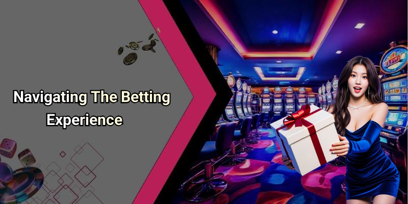 Navigating The Betting Experience