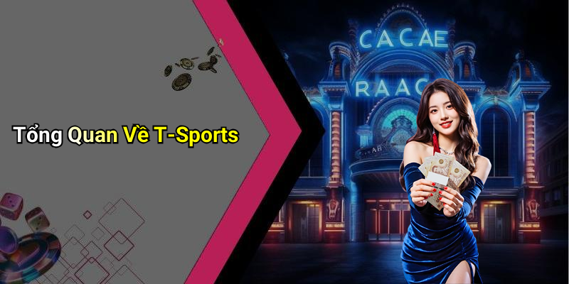 Tổng Quan Về T-Sports
