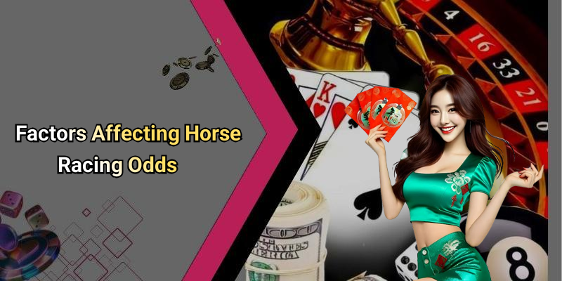 Factors Affecting Horse Racing Odds
