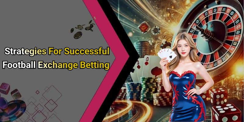 Strategies For Successful Football Exchange Betting