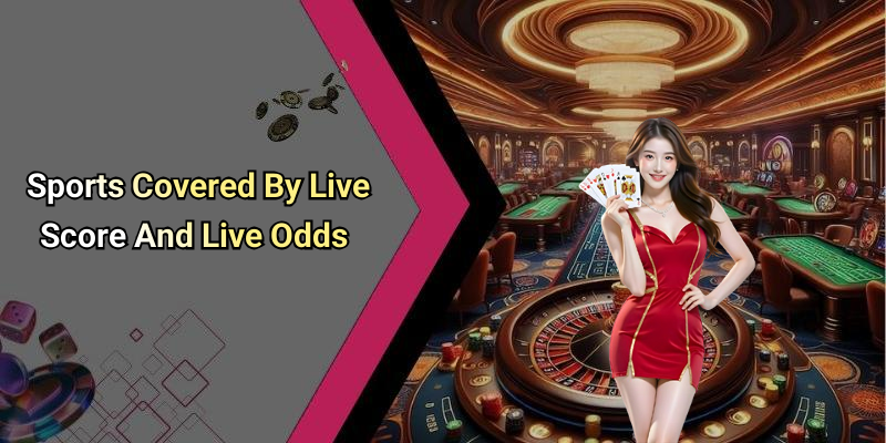Sports Covered By Live Score And Live Odds